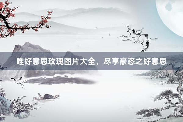 唯好意思玫瑰图片大全，尽享豪恣之好意思